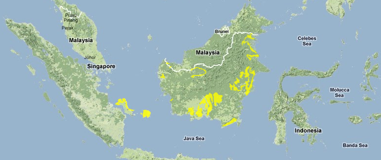 Sundaland-heath-forests.png