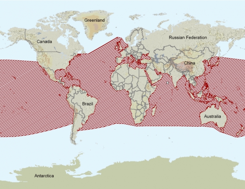 Common-bottlenose-dolphin-distribution.png.jpeg