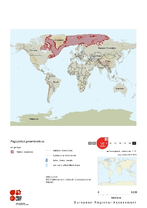 Distribution of Harp Seal.png.jpeg