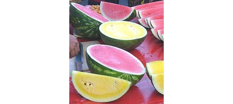 Watermelon.jpg