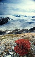 200px-Pacific Coastal Mountain Icefields and Tundra 1.jpg