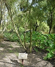 190px-Nzbotanicalgarden.jpg.jpeg