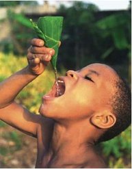 247px-GEO4 ch 4 boy drinking water.jpg