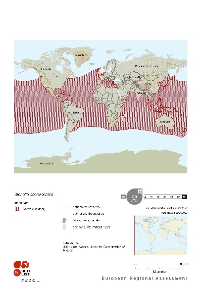 Distribution of striped dolphin.png.jpeg