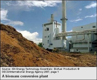 Biomass-conversion.jpg