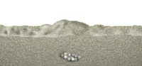 200px-Turtlebury.gif