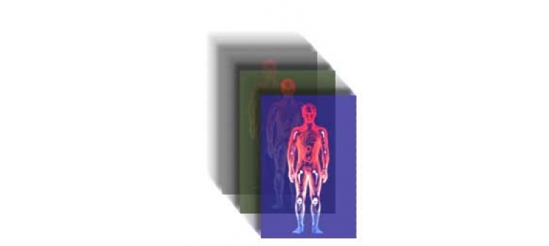 BodyScanned EPA.jpg