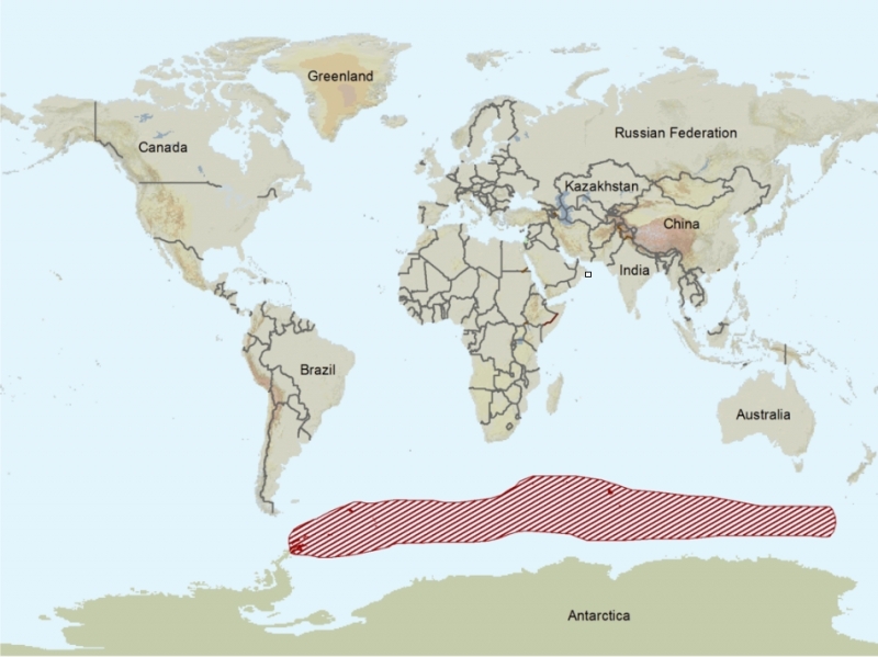 Distribution-of-antarctic-fur-seal.png.jpeg