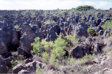 800px-karst-following-phosphate-mining-on-nauru.jpg