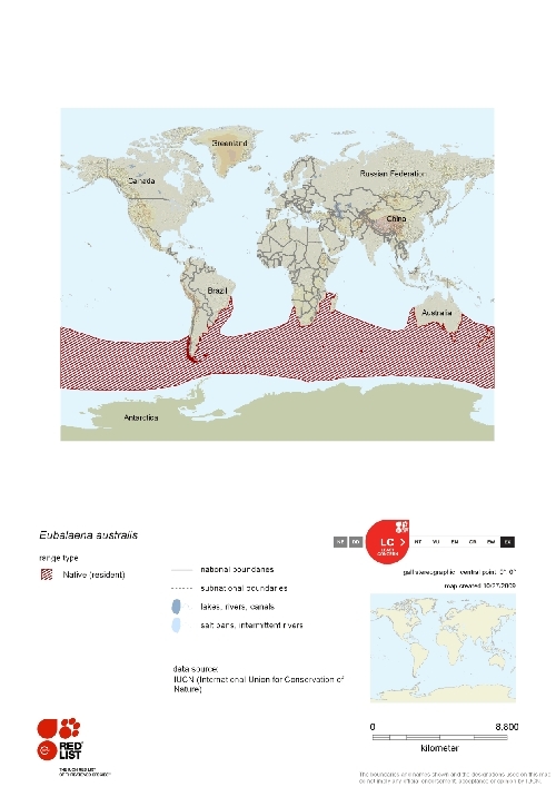 Distribution of Southern Right Whale.png.jpeg