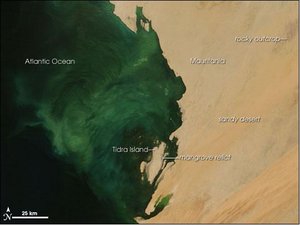 300px-Mauritania Picture Nasa.JPG