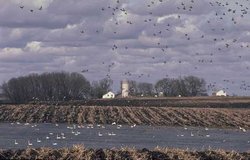 250px-MN prairie pothole.jpg