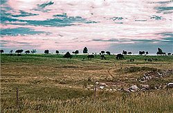 250px-Near Lankin, North Dakota, USA.jpg