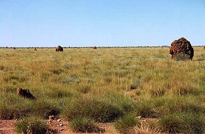 Tanami-desert--northern-territory--australia.jpg