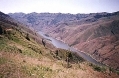 Palouse grasslands.jpg