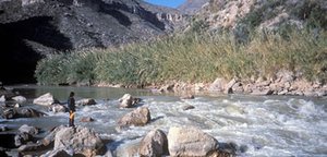 300px-Rio Grande Wild and Scenic River.jpg