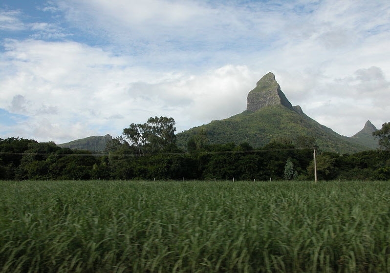 800px-piton-de-la-petite-rivi--re-noire.jpg