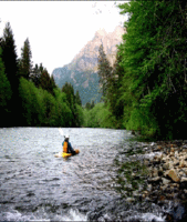 200px-Ecotourism washington state.gif