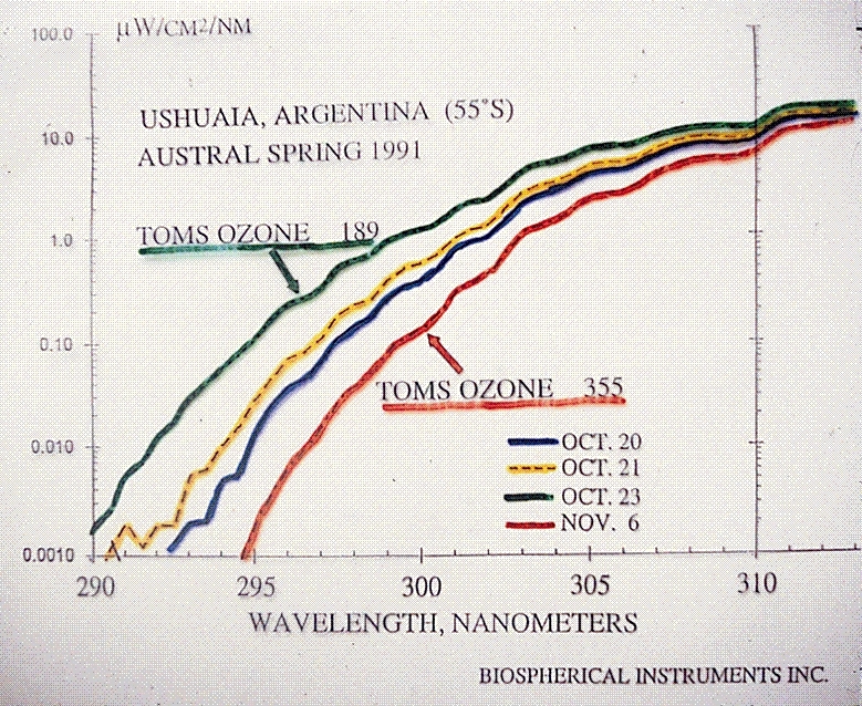 Cfc-ozone-puzzle-slide37.gif.jpeg