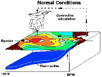 ElNino-schematic2.gif.jpeg