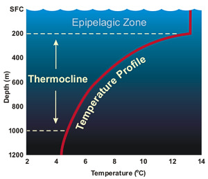 Layers of the Ocean3 NOAA.jpg