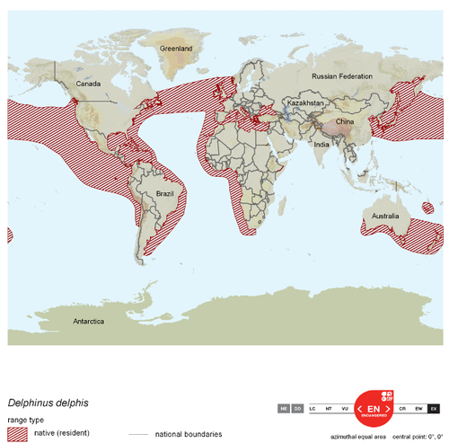 500px-Short-beaked map.png