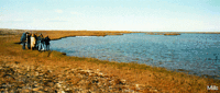 200px-Thermokarst.gif