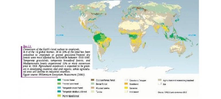 Croplands.jpg