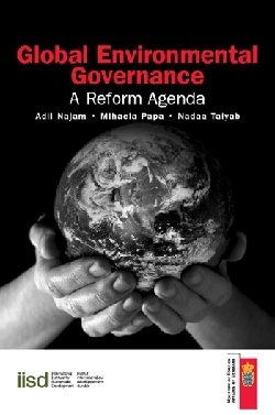 Global Environmental Governance front cover.gif.jpeg