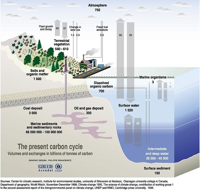 Unepgrid carbon cycle.jpg