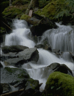 190px-Rapid2.gif