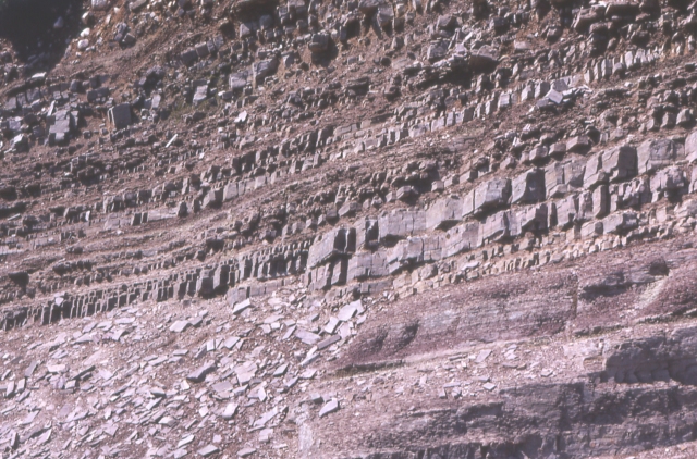 Torridonian sandstone.jpg