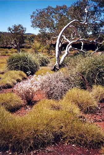 Hamersley-range-national-park--western-australia.jpg