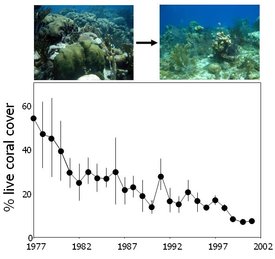 275px-Figure 1 live coral cover decline.jpg