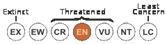 IUCN Conservation Status - Endangered.png.jpeg