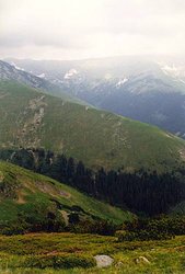 250px-Near Crasna Village, Southern Carpathians, Romania.jpg