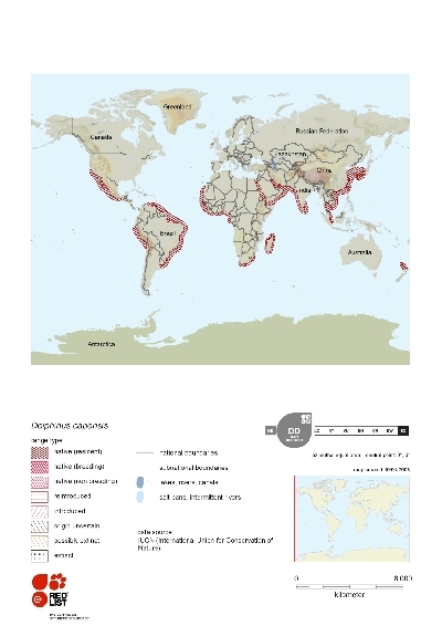 Distribution of Long-beaked Common Dolphin.jpg