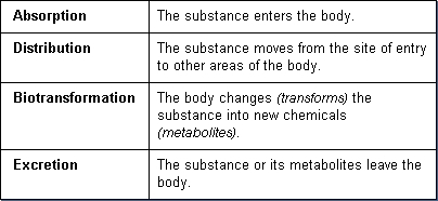 Toxicokinetics-fig-1.gif.jpeg