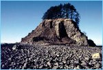 150px-OlympicCoast shoreline2.jpg