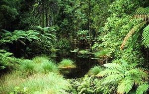 300px-Aa0403 fiordland.jpg