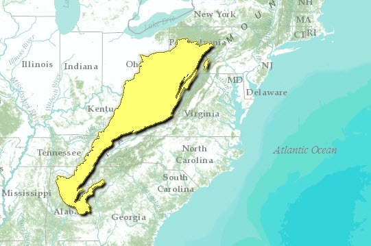 Appalachian-mixed-mesophytic-forests.jpg