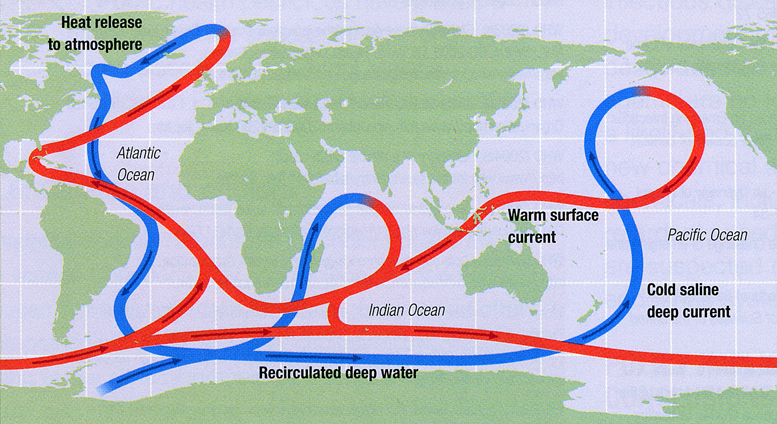 Thermohaline circulation.jpg