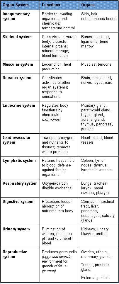 Organs-fig-4.gif