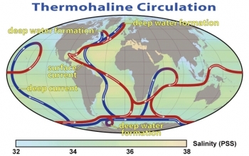 Thermohaline.jpg