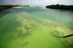 300px-Sian Kaan biosphere reserve.jpg