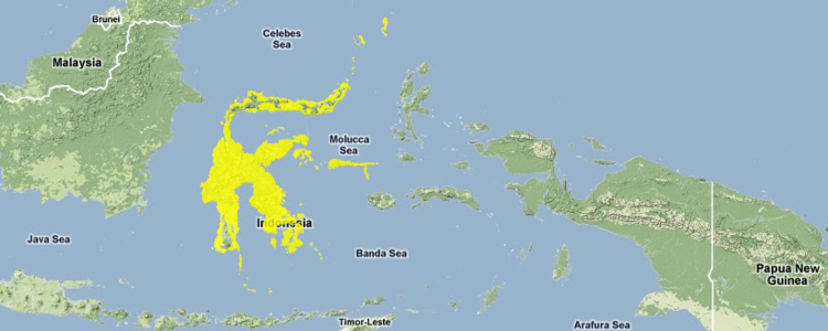 Sulawesi-lowland-rain-forests.png