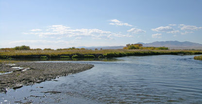 Rubybeaverheadriver.jpg