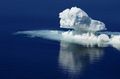 Human-activity-threatening-unique-antarctic-marine-ecosystem 42.jpg