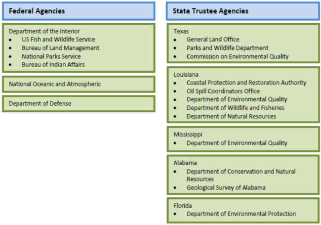 Nrda fig01.png