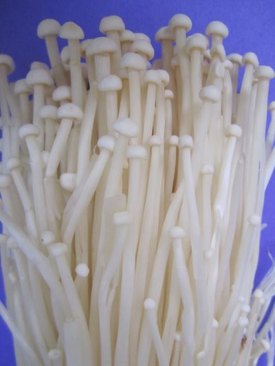 Enoki.jpg